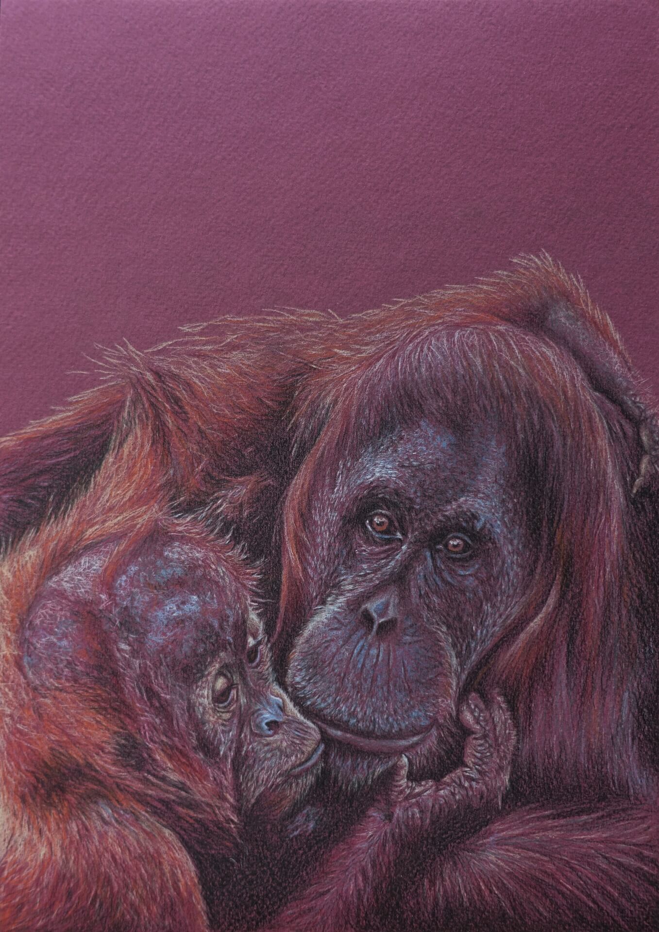 Together colored pencil drawing